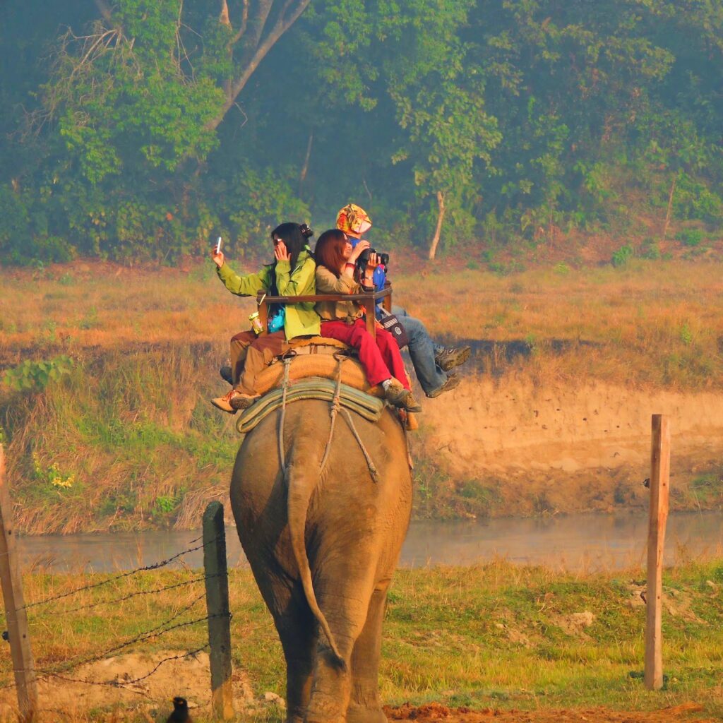 ELEPHANT-RIDE-CHITWAN-NEPAL