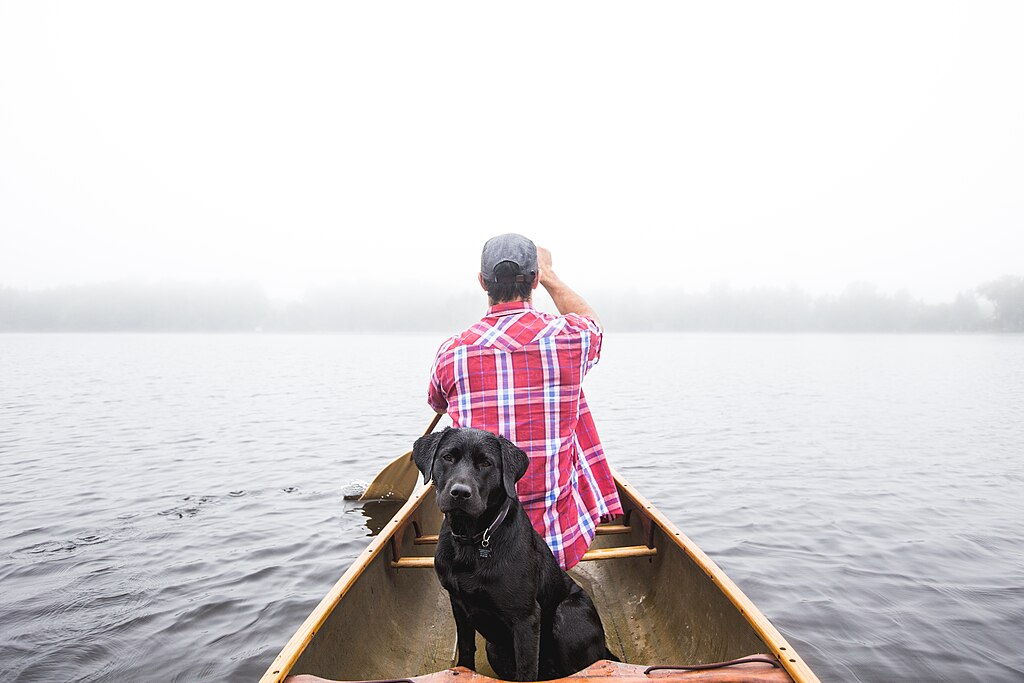 Travel-with-Your-Beloved-Pets