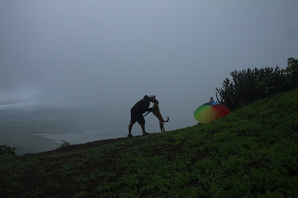 trek-with-pet